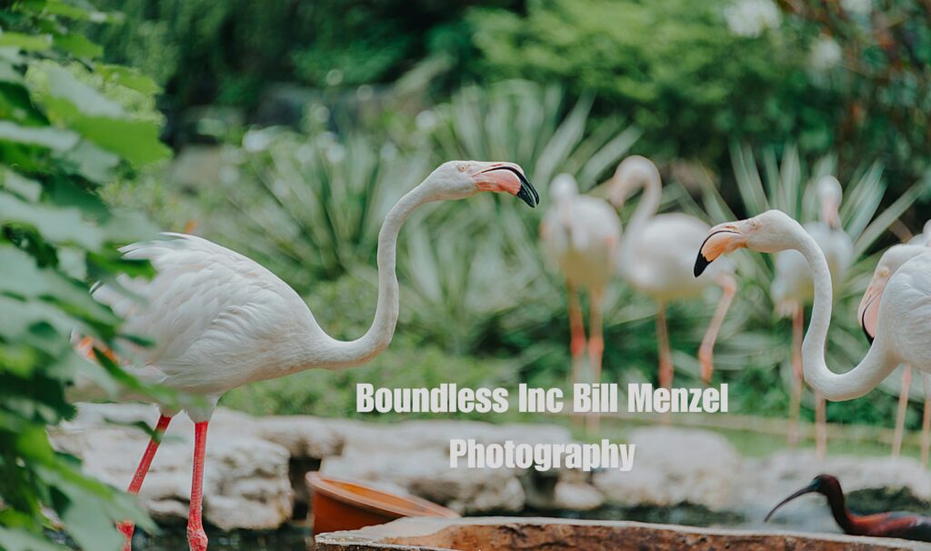 Boundless Inc Bill Menzel Photography