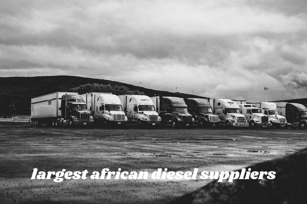 largest african diesel suppliers