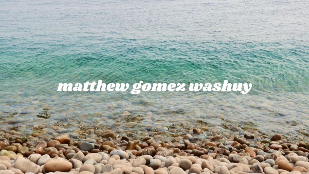 matthew gomez washuy