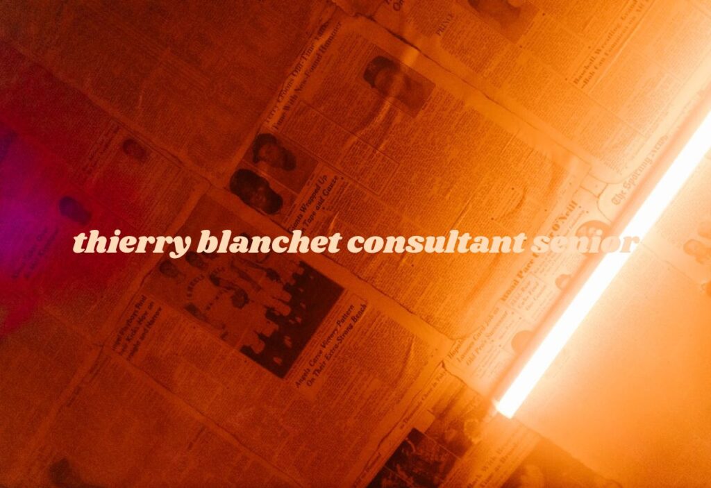 thierry blanchet consultant senior