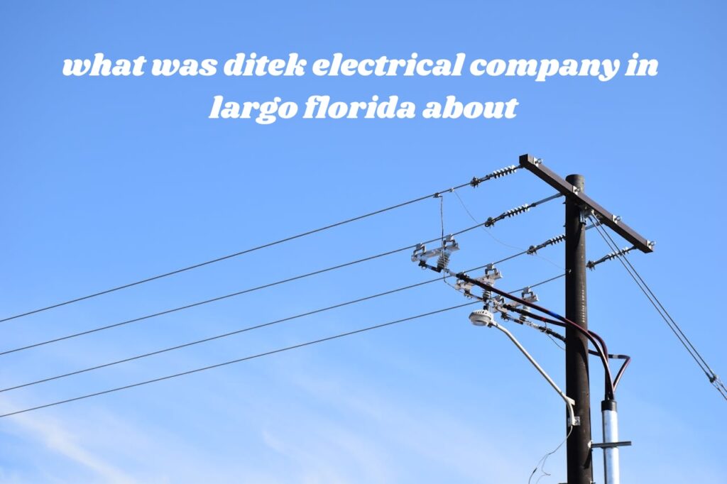 what was ditek electrical company in largo florida about